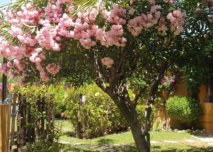 Hotell Family Al- Ana Marbella