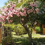 فندق Family Al- Ana Marbella