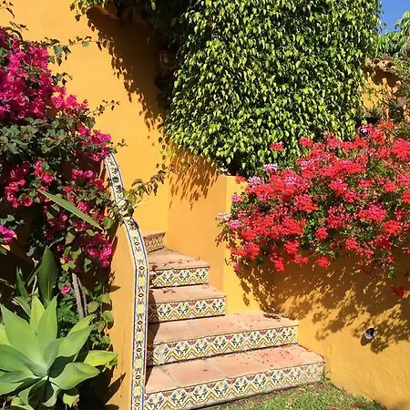 Hotel Family Hotel Al- Ana Marbella Estepona