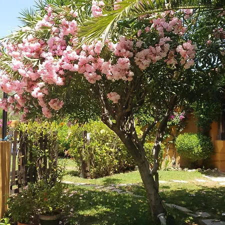 Szálloda Family Al- Ana Marbella