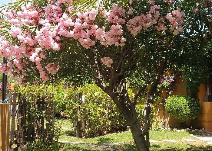 Готель Family Al- Ana Marbella