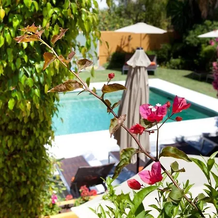 מלון Family Al- Ana Marbella 3*