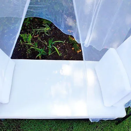 Family Al- Ana Marbella 3* Estepona