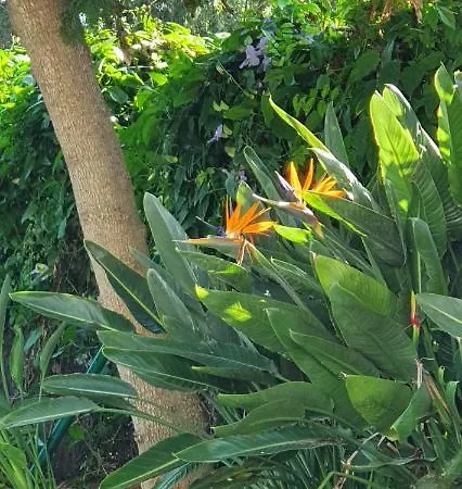 Hotel Family Al- Ana Marbella 3*